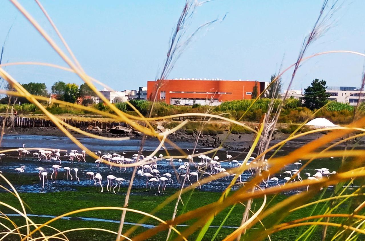 Апартаменты Aveiro, Ria E Arte Экстерьер фото